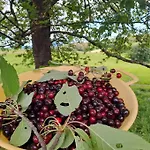 Pod Vinogradi Appartement Skocjan (Skocjan)