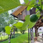 Appartement Pod Vinogradi