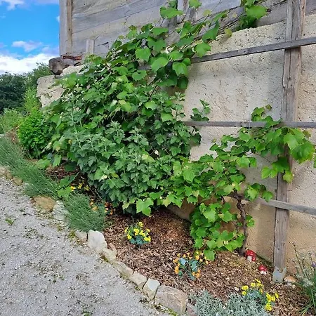 Pod Vinogradi Daire *