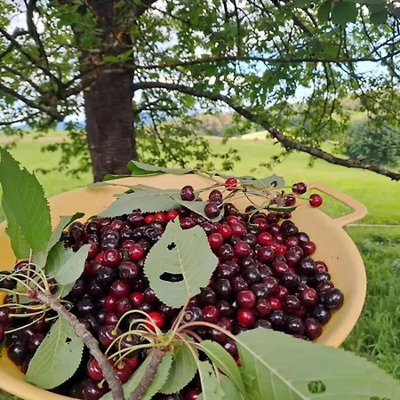 Pod Vinogradi 아파트 Škocjan