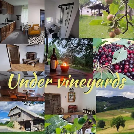 Pod Vinogradi Apartament