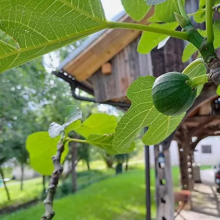 아파트 Pod Vinogradi