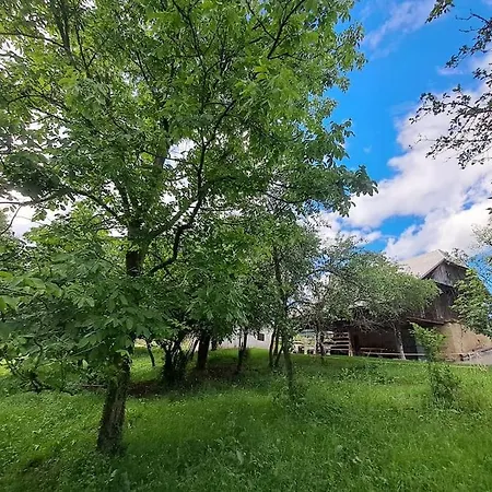 Pod Vinogradi Apartament Skocjan (Skocjan)