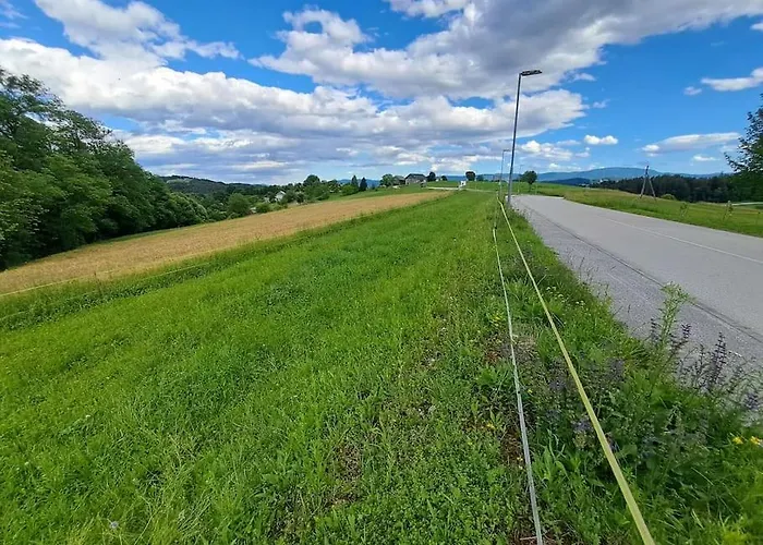 Pod Vinogradi Daire *