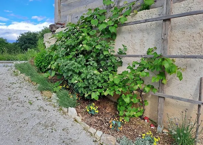 Pod Vinogradi Daire *