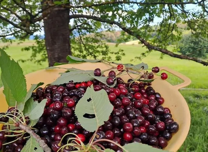 Pod Vinogradi Appartamento Skocjan (Skocjan)