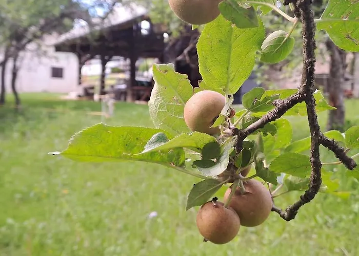 Appartamento Pod Vinogradi