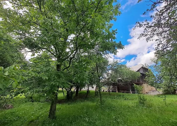 Pod Vinogradi Daire Skocjan (Skocjan)